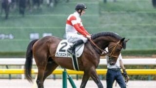 【今日の注目ポイント】東スポ杯2歳Sにダノンヒストリーなど素質馬が揃う