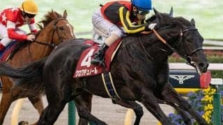 データが示す過去10年の好走パターン 東スポ杯2歳Sはローテと生産者に注目