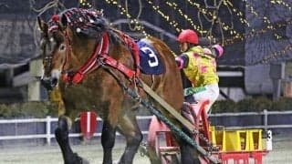 【ばんえい・ドリームエイジカップ】ゴール寸前でキングフェスタ、サクラヒメが座り込む大波乱…最後に立ち上がったのはタカラキングダム