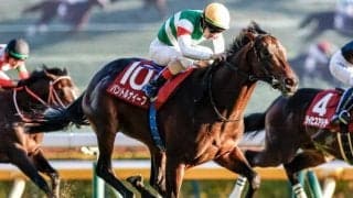 【東スポ杯2歳S結果】パントルナイーフが接戦を制し2連勝で重賞初V