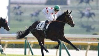 【東京2R】良血ミッキーダムールが断然の支持に応える