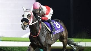 【水沢・寒菊賞】セイクリスティーナが7馬身突き抜ける…「負けられない一戦」