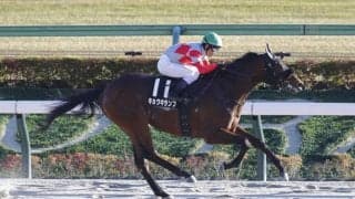 【晩秋S】キョウキランブが5馬身差圧勝…単勝1.3倍シャンパンポップは2着