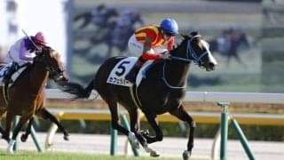 【新馬/東京7R】モーリス産駒 カフェラバーが快勝…断然人気ペアレンツギフトは2着