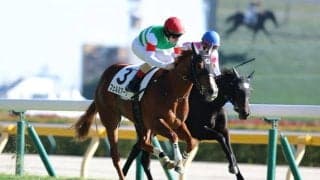 【新馬/東京6R】単勝1.5倍フェルミアークがデビューV