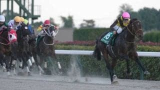 【武蔵野S】1番人気コスタノヴァが大出遅れも2着…勝利したのは3歳馬ルクソールカフェ