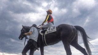 ジャパンC、京阪杯など3重賞/今週の競馬界の見どころ