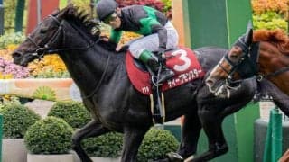 池江泰寿調教師がジャパンC初制覇なるか ディープモンスターが参戦だ