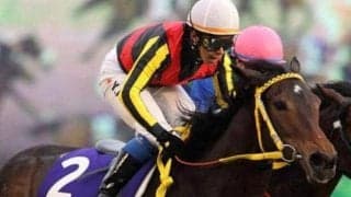 ジャパンC史上最高額の3連単 ブエナビスタが制した11年を振り返る