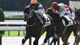 【京都2歳S見どころ】バルセシートの連勝に期待