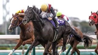 【京阪杯見どころ】叩いての良化が顕著なルガル