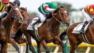 【ジャパンC見どころ】23年のダービー馬タスティエーラが巻き返す