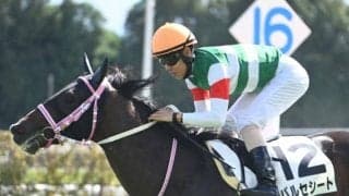 【京都2歳S想定騎手】バルセシートはC.デムーロ騎手、ウイナーズナインは西村淳也騎手