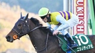 【福島記念】売上は40億9699万8700円で昨年より約15.5億円の大幅増