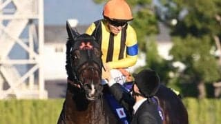 【マイルCS】売上は202億1614万7100円で昨年より約31億円の大幅増