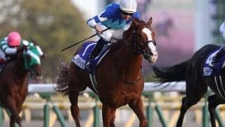 勝ち馬の9割が3枠より内 ジャパンCは枠順がカギ