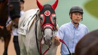 6歳でJRA初勝利から連勝 芦毛の“アイドル”ゲキザルに注目集まる