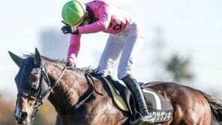 【先週のJRA抹消馬】平地と障害の双方で活躍したアサクサゲンキ、中距離重賞2勝のアルナシームなど