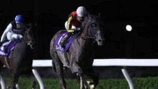 【浦和記念注目馬】東京大賞典に向けても見逃せぬ一戦 中央、地方から実力拮抗の12頭