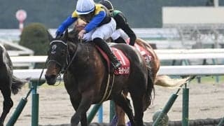 【AI予想・ジャパンC】人工知能は人気薄の大駆けを警戒!? 前走の敗戦を糧に巻き返しを狙う本命候補
