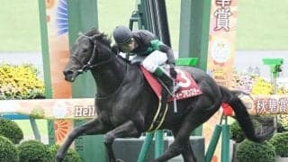 【ジャパンCの過去10年データ】天皇賞(秋)組が軸に最適 穴なら京都大賞典からの臨戦馬