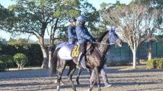 近親にオークス馬がいるウルフマン 手塚師「軽い走りで切れがありそう」/関東馬メイクデビュー情報