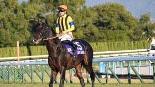 ジャンタルマンタルが史上初の芝マイルGI完全制覇 その血統背景は種牡馬としても期待ふくらむ