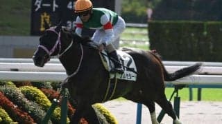 【京都2歳S予想オッズ】バルセシートが予想1番人気