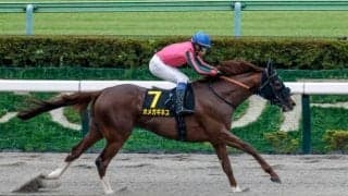 【チャンピオンズC出走馬決定順】フルゲート16頭に24頭が登録 オメガギネスやサントノーレなど8頭が除外見込み