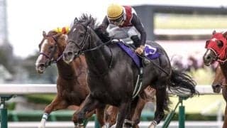 【京阪杯予想オッズ】ルガルが予想1番人気