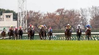 日曜劇場『ザ・ロイヤルファミリー』にジャパンCのヒント!? 妻夫木聡さん関連に100％のデータ