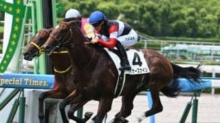 【京都2歳S展望】前走OP組の好走率が圧倒的！実績上位のウイナーズナインが中心