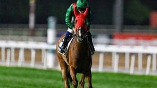 シンエンペラーにかかる意外な記録 フランス産馬が勝ったら史上初