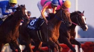 ジャパンCが国内最高賞金になった年 テイエムオペラオーが制した00年を振り返る