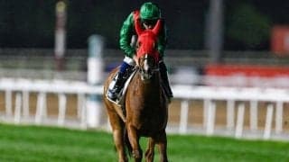 欧州からやってきた刺客カランダガン 外国馬20年ぶりのジャパンC制覇なるか