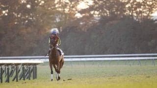 ジェンティルドンナが16歳で死亡 12年の牝馬三冠などGI・7勝