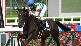 【阪神JF想定】アランカールやショウナンカリスなど14頭