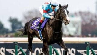 【ジャパンCの過去10年データ】3連単1000円台も珍しくない 波乱は見込みづらいか