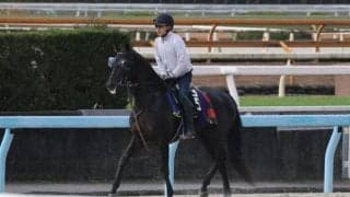 ベレシートなど、先週の入厩情報/栗東トレセンニュース