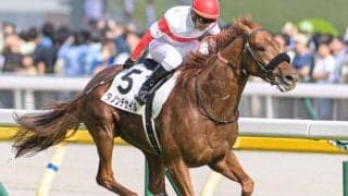 【ジャパンC】23年イクイノックスが200万ドル獲得 今年の褒賞金対象馬は？
