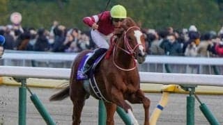 【ジャパンC】「母の父ガリレオ」のJRA・GI初制覇なるか シンエンペラーが悲願のビッグタイトル狙う