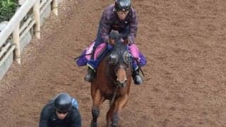 ラミアスペランツァなど、先週のゲート試験/栗東トレセンニュース