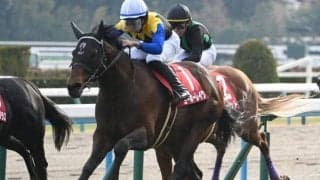 【ジャパンC予想】堅い決着目立つ最強決定戦 AIが導いた“超穴馬”とは