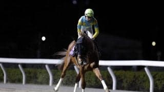 【浦和記念】団野「思った以上に頑張ってくれた」デルマソトガケは3着