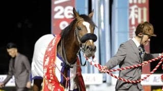 【浦和記念】栗田師「ジョッキーが上手く対応してくれた」ホウオウルーレットが重賞2勝目