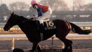 芦毛2頭の日本勢が迎え撃った戦い 伏兵ペイザバトラーが勝利した88年ジャパンC