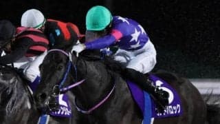【園田・兵庫ジュニアGP注目馬】全日本2歳優駿を目指す素質馬が揃う 今年は特に好メンバーが集結