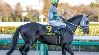 【京阪杯展望】好走データ揃う4歳牡馬ペアポルックスが巻き返す