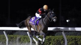 【浦和記念】岩田康誠「久しぶりの浦和競馬楽しみました」レース後ジョッキーコメント