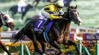 【ジャパンC枠順確定】マスカレードボールは7枠15番、クロワデュノールは1枠2番